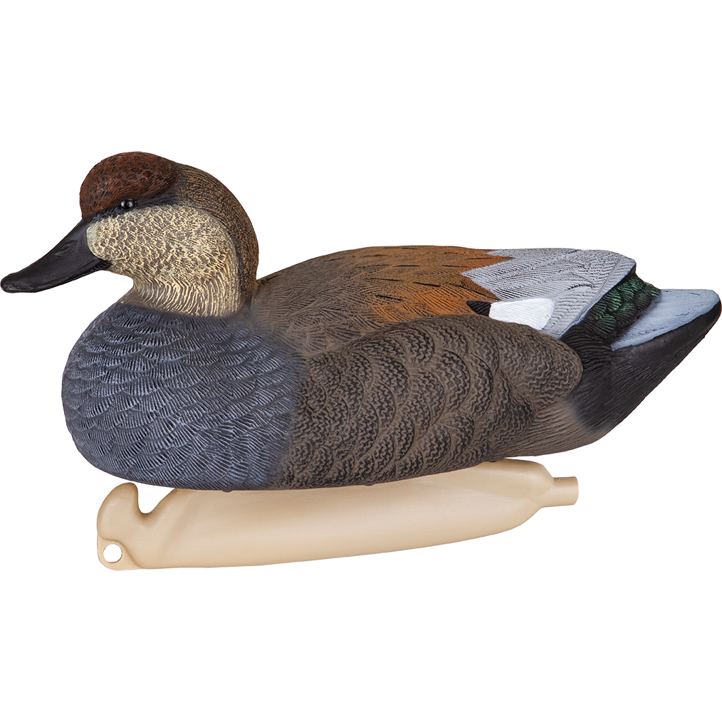 Masters Series Gadwalls - 6 Pack