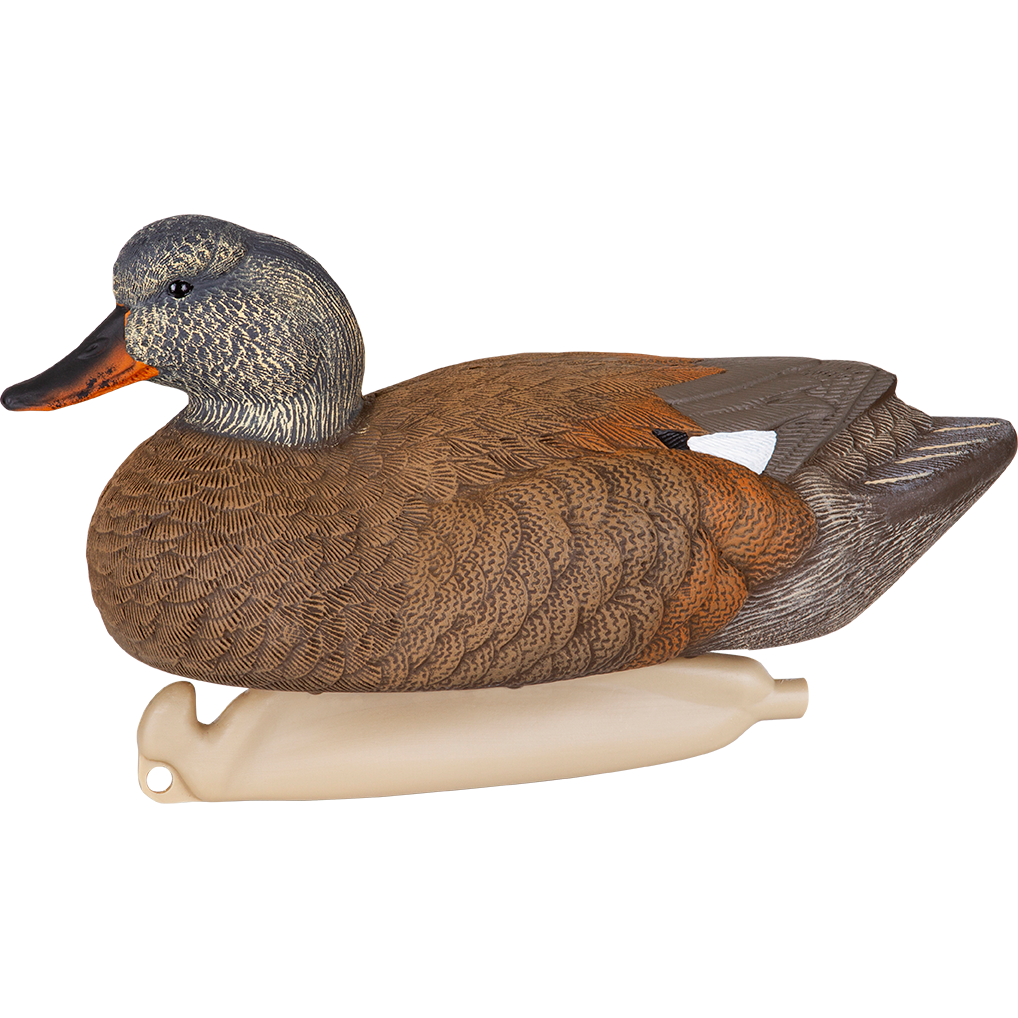 Masters Series Gadwalls - 6 Pack