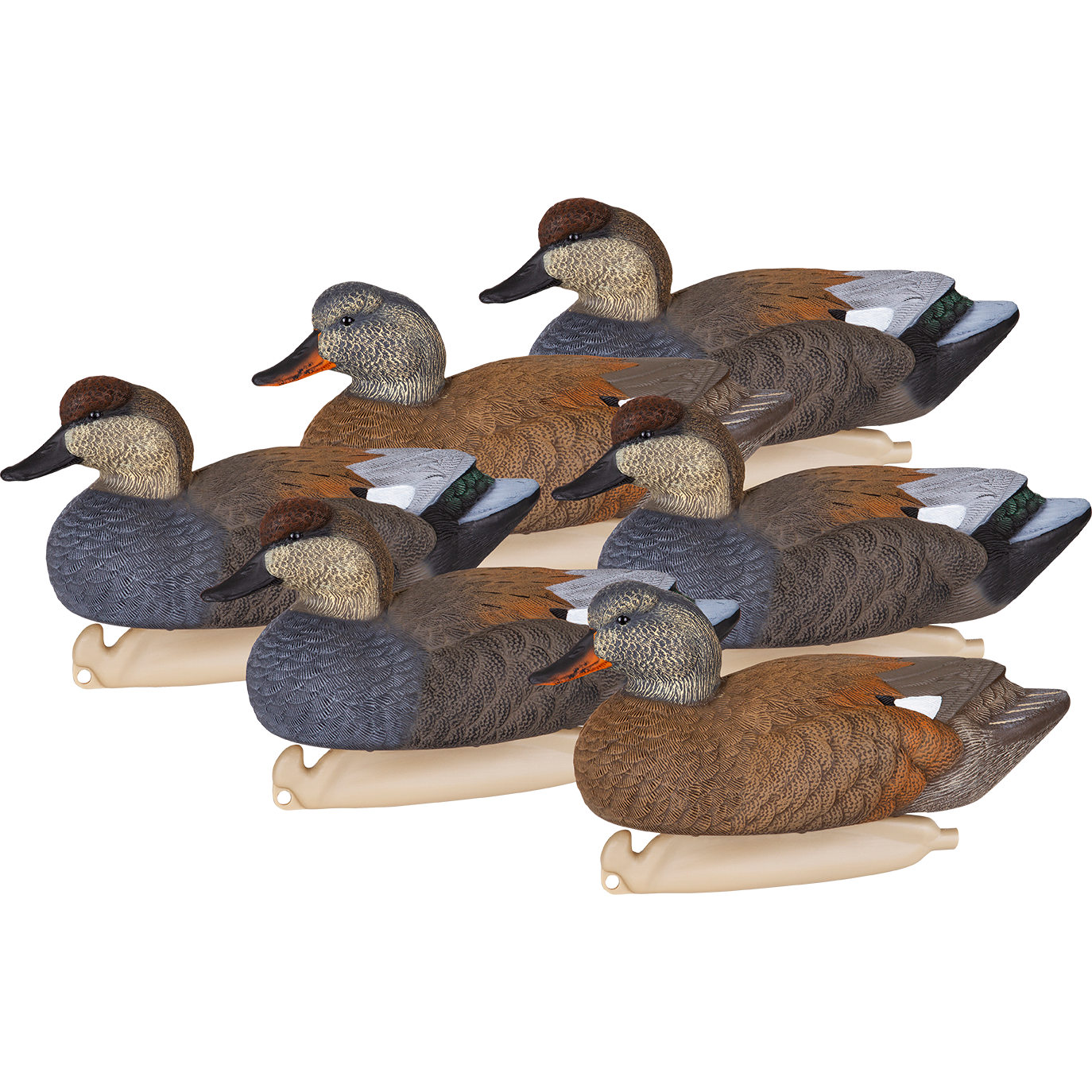 Masters Series Gadwalls - 6 Pack