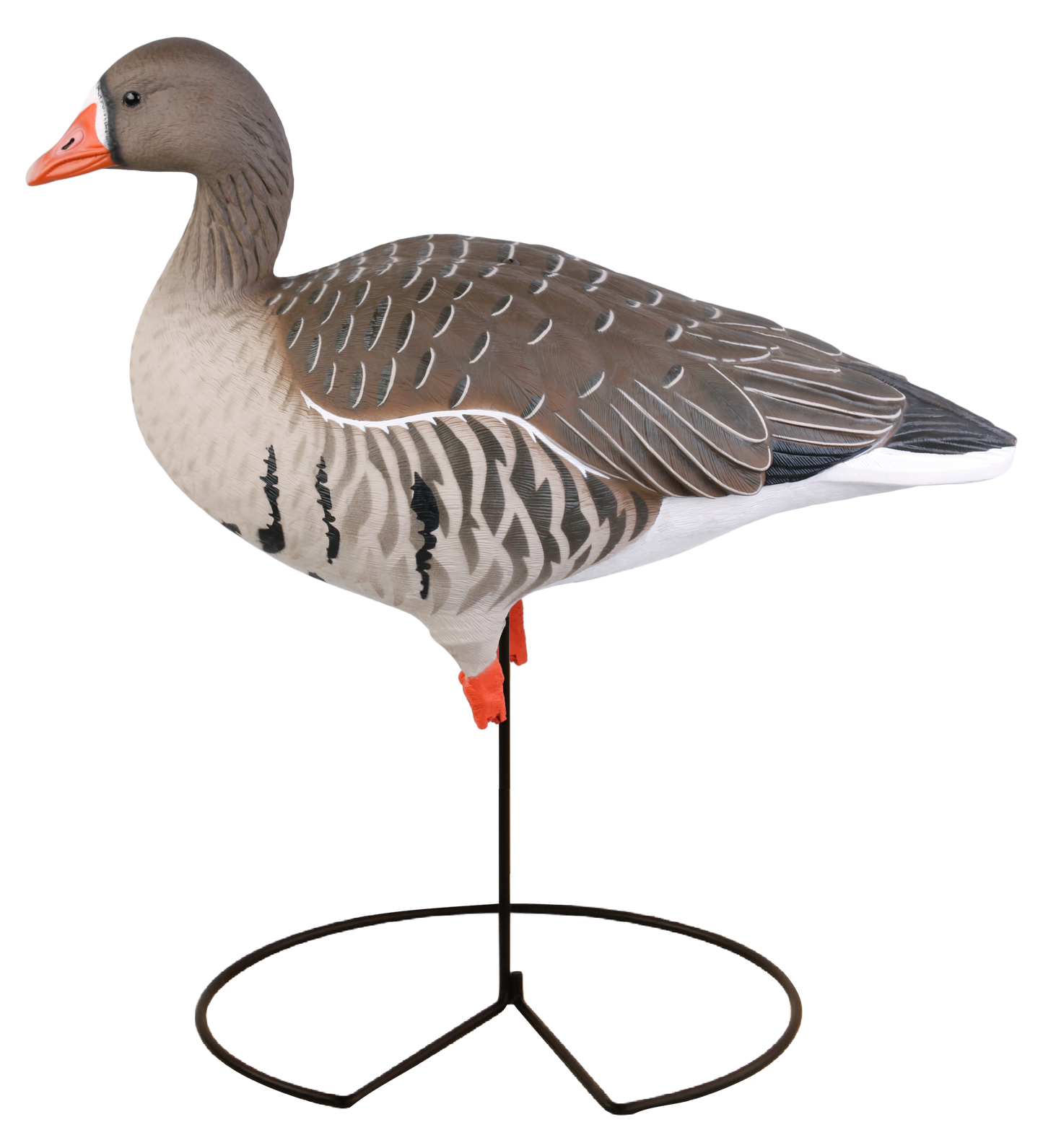 GHG Pro-Grade Full Body Specklebelly Decoys - 6 pack