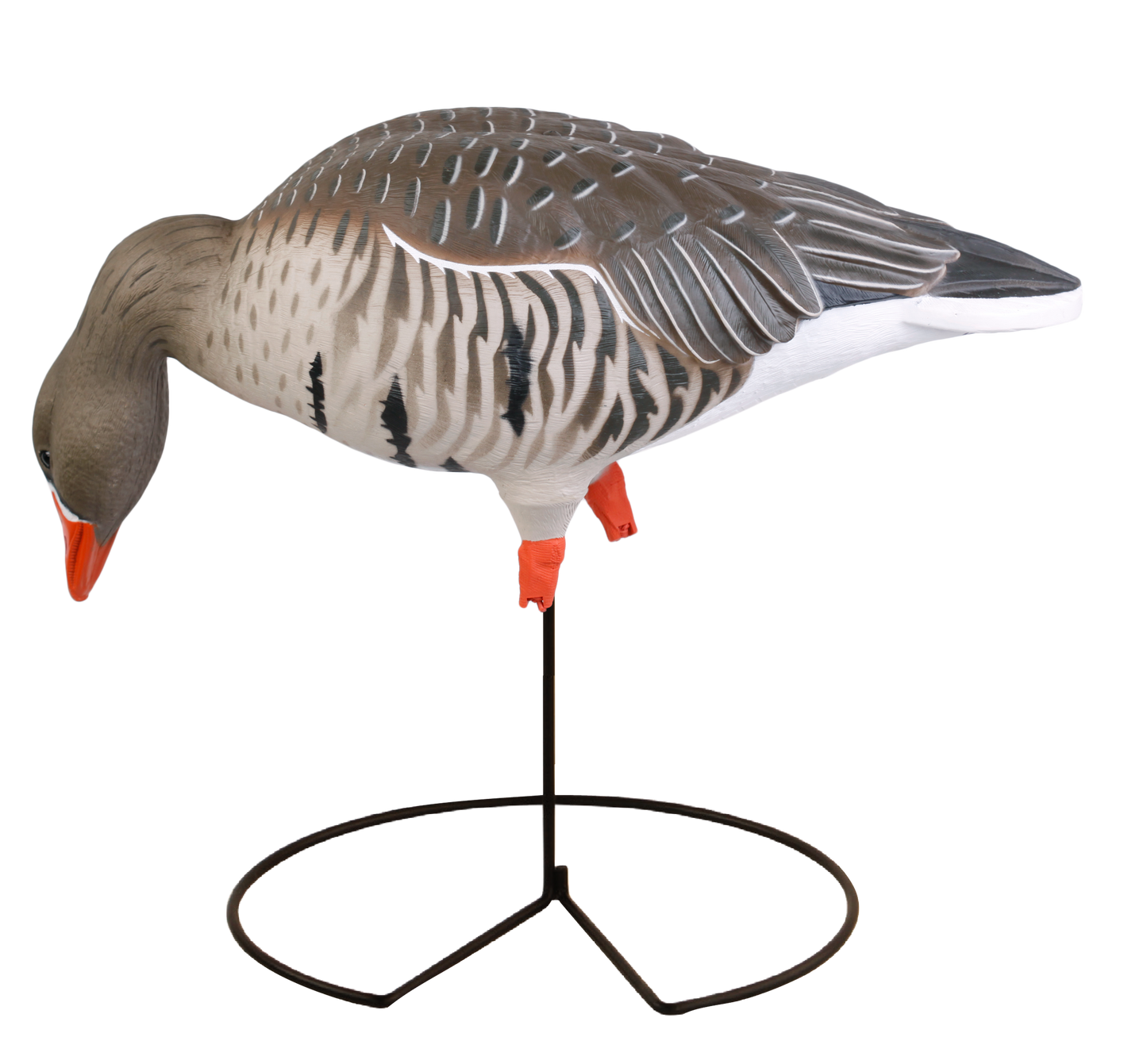 GHG Pro-Grade Full Body Specklebelly Decoys - 6 pack