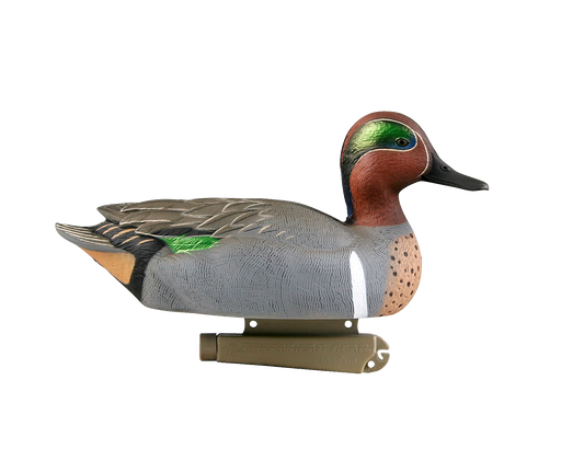 GHG Pro-Grade Greenwing Teal Floater - 6 pack