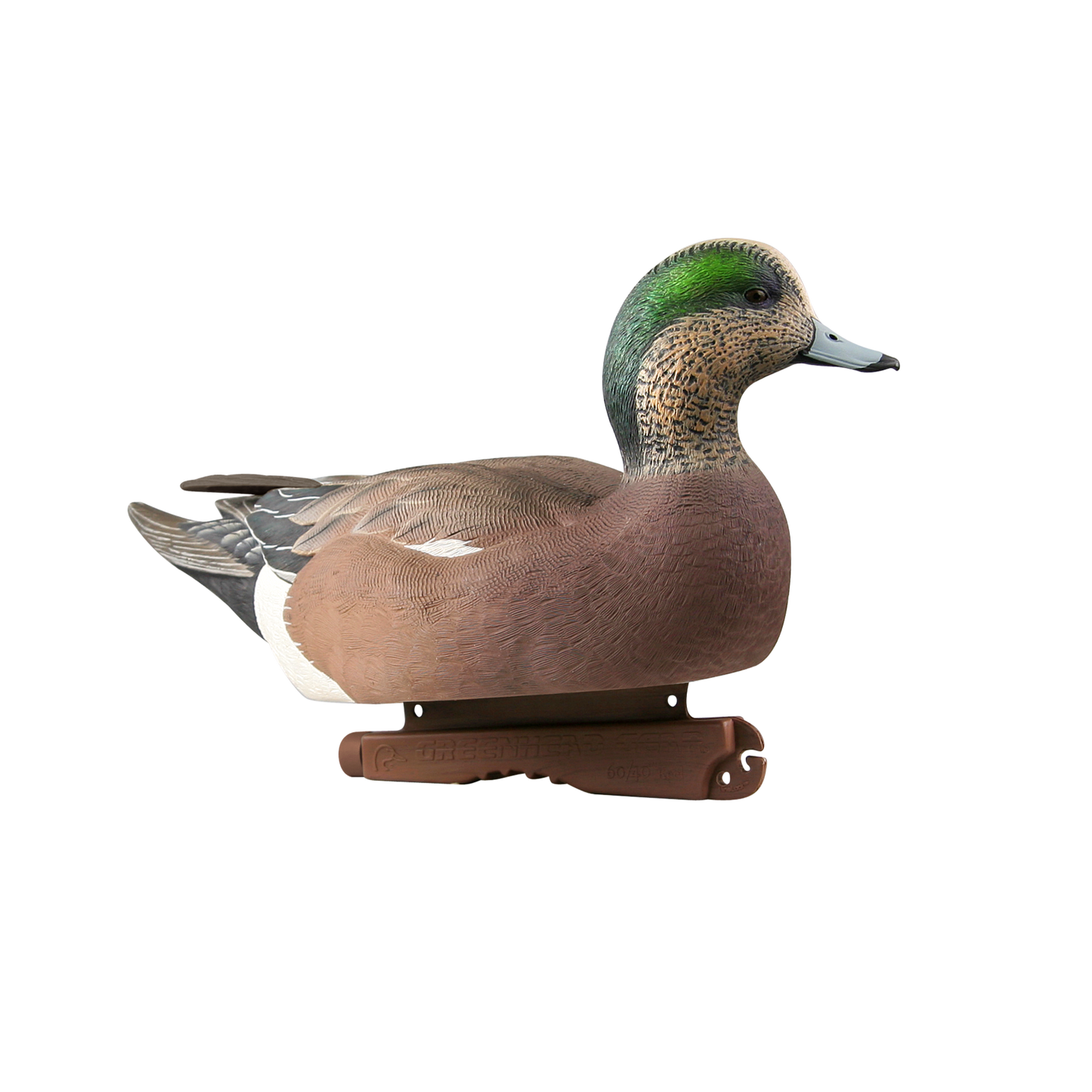 GHG Wigeon Drake