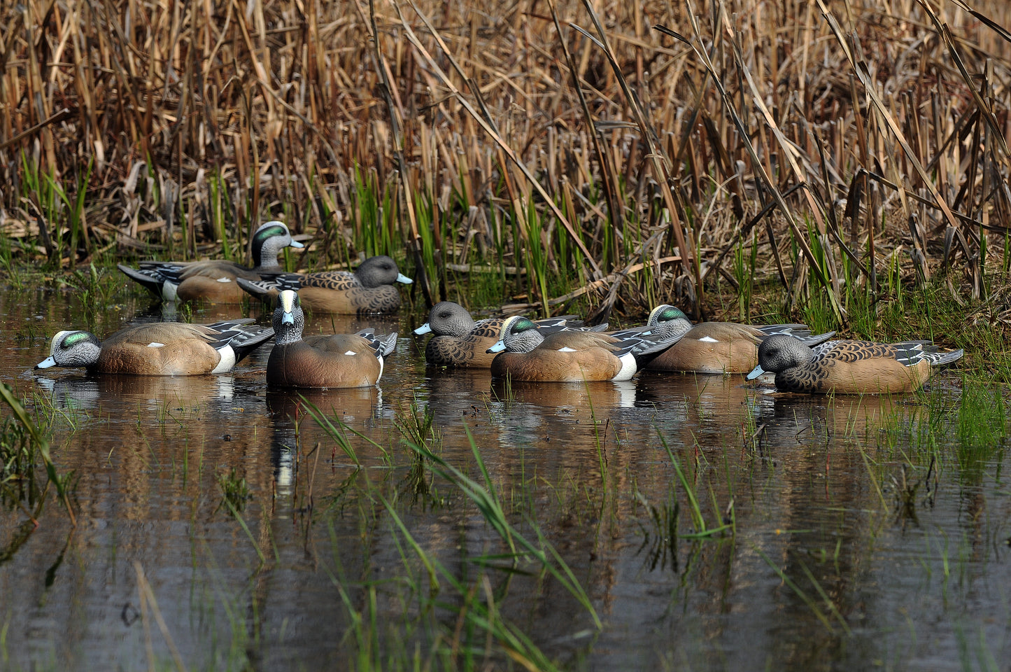 GHG Pro-Grade Wigeon Floaters - 6 pack