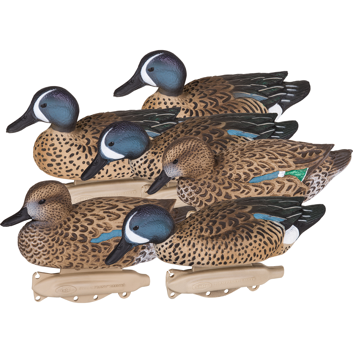 Storm Front 2 Bluewing Teal - 6 Pack