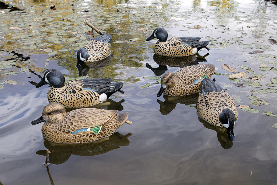 Storm Front 2 Bluewing Teal - 6 Pack