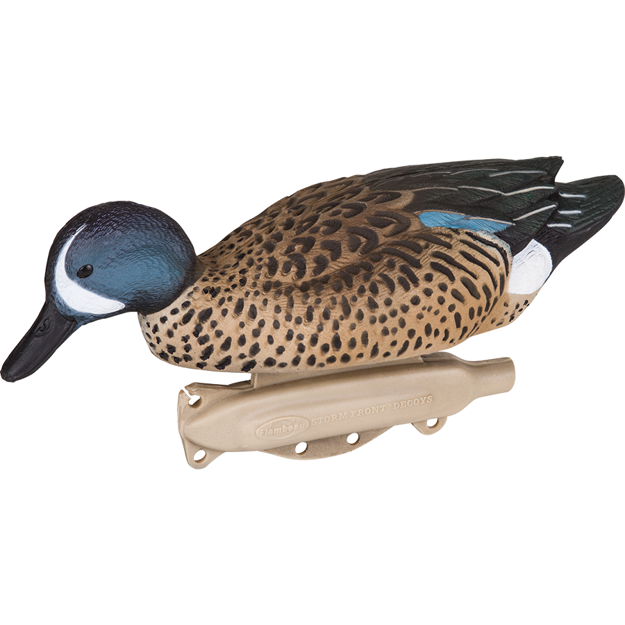Storm Front 2 Bluewing Teal - 6 Pack