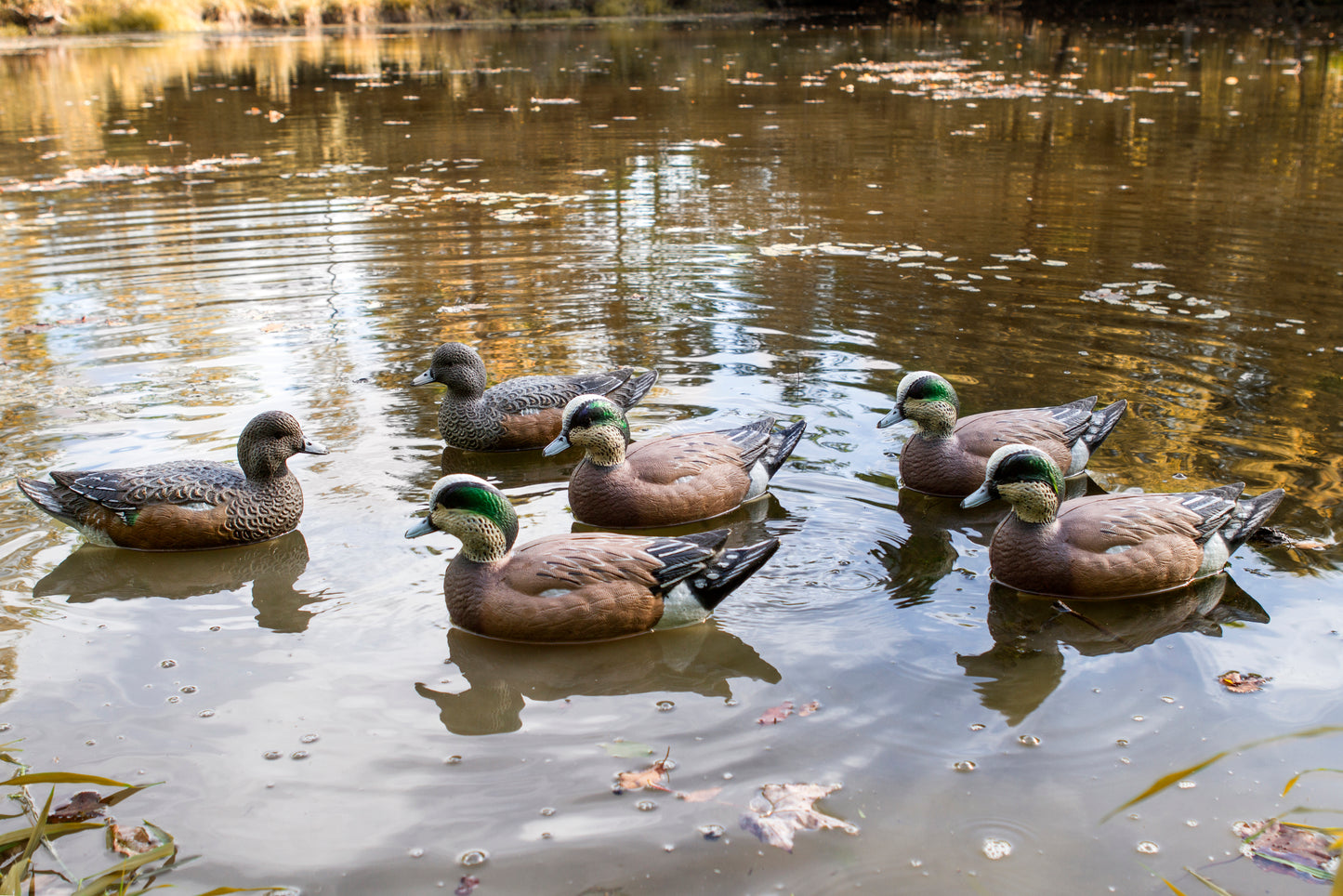 Storm Front 2 Wigeon Floater - 6 Pack