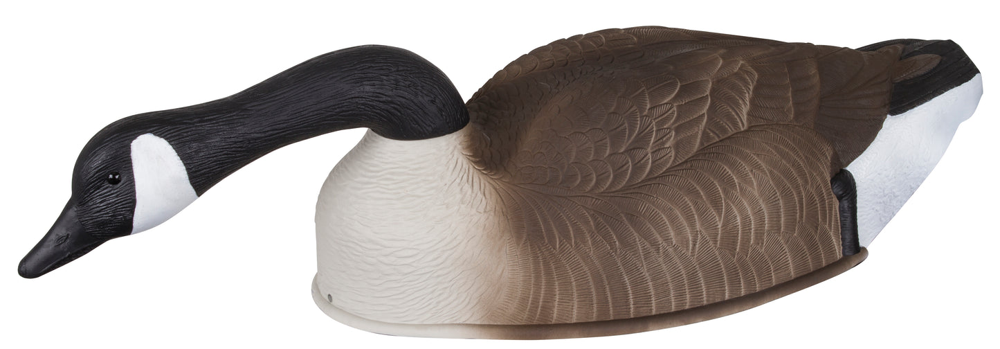 Storm Front 2 Canada Goose Shells - 4 pack