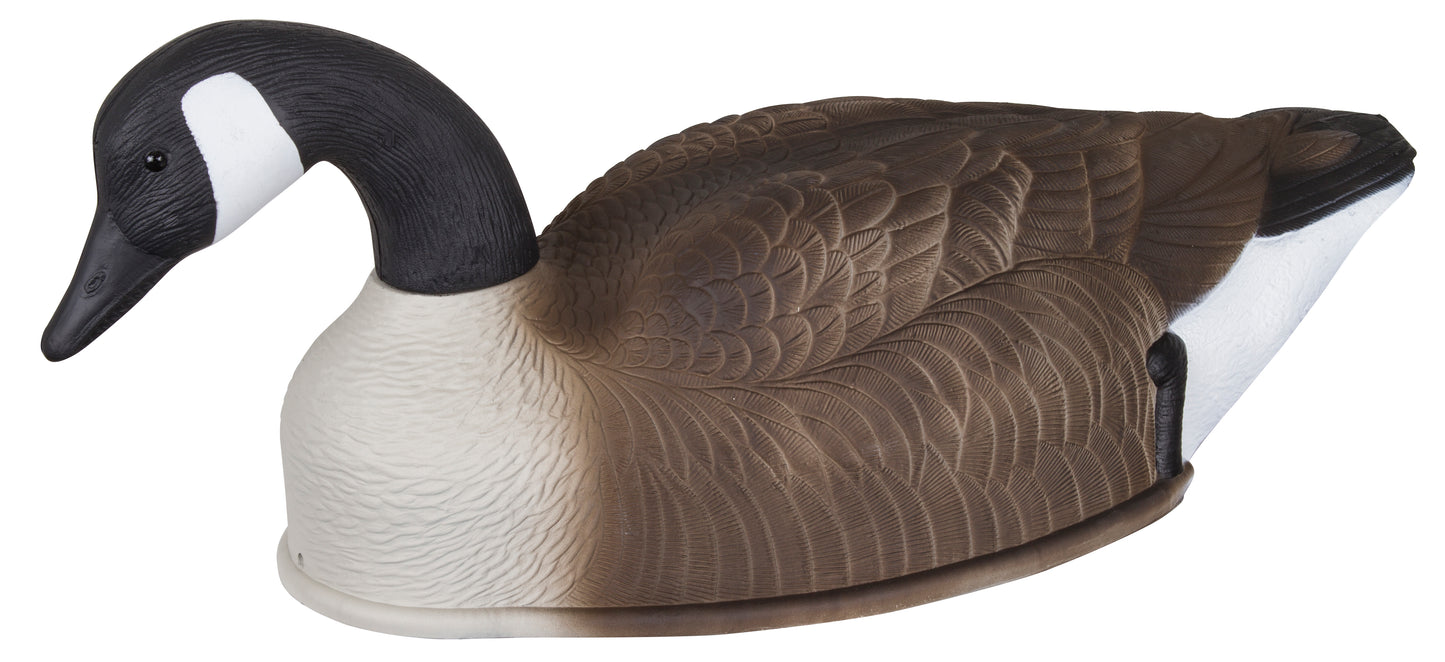 Storm Front 2 Canada Goose Shells - 4 pack