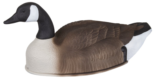 Storm Front 2 Canada Goose Shells - 4 pack
