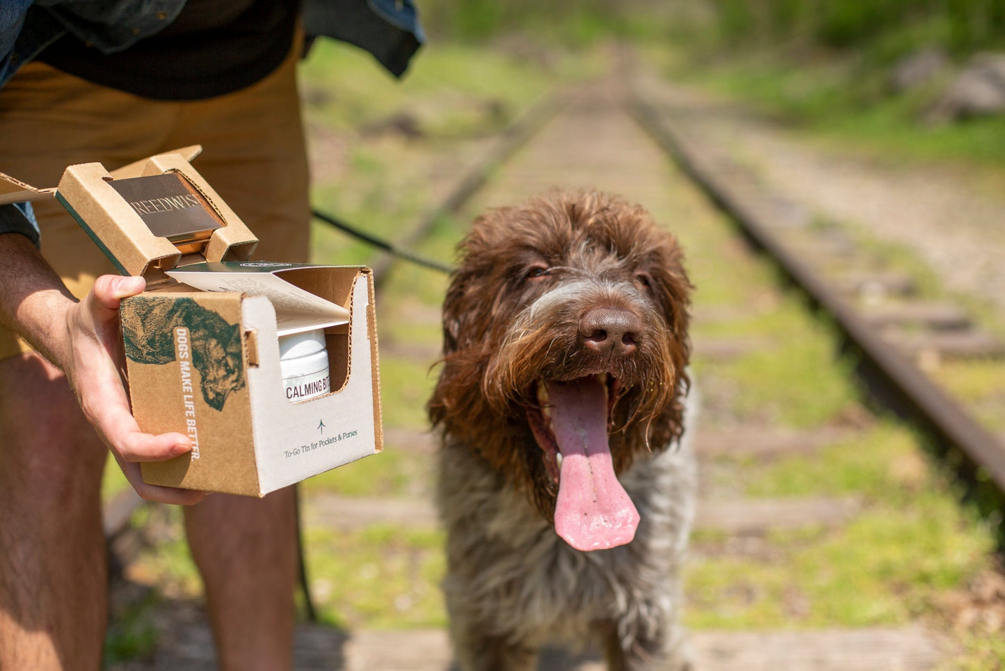 Breedwise Calming Bites 100-count Jar