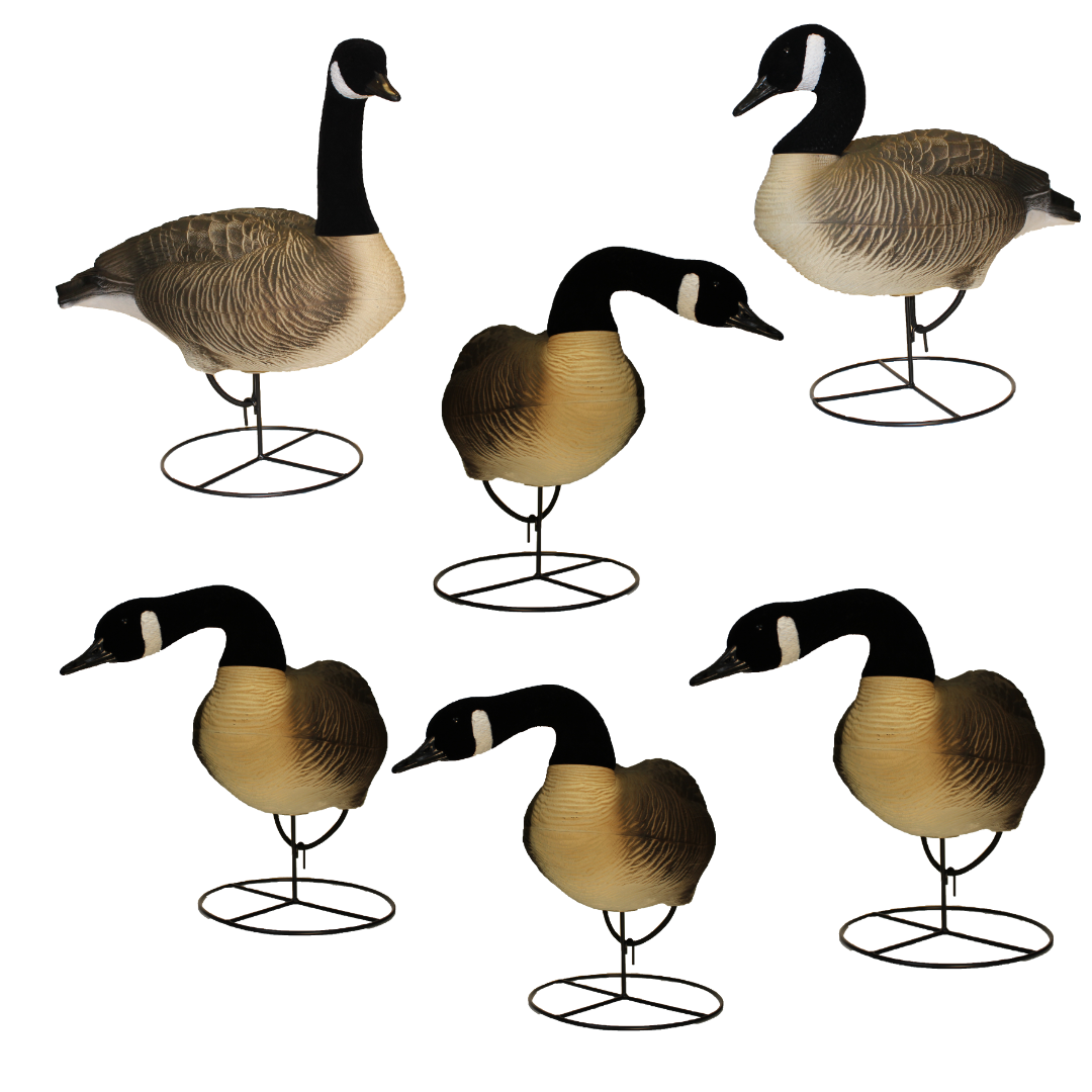 Super Blocks Flocked Full Body Canada Geese - 6 pack