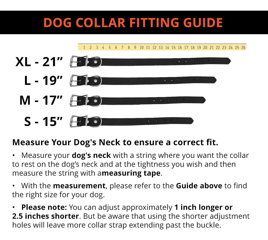 Leather Dog Collar with Shotgun Shells