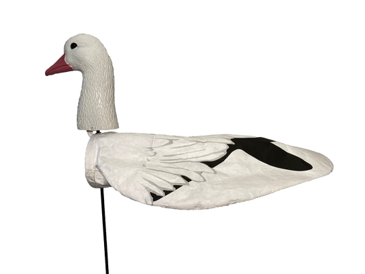 Super Socks Headed Snow Goose - 12 pack