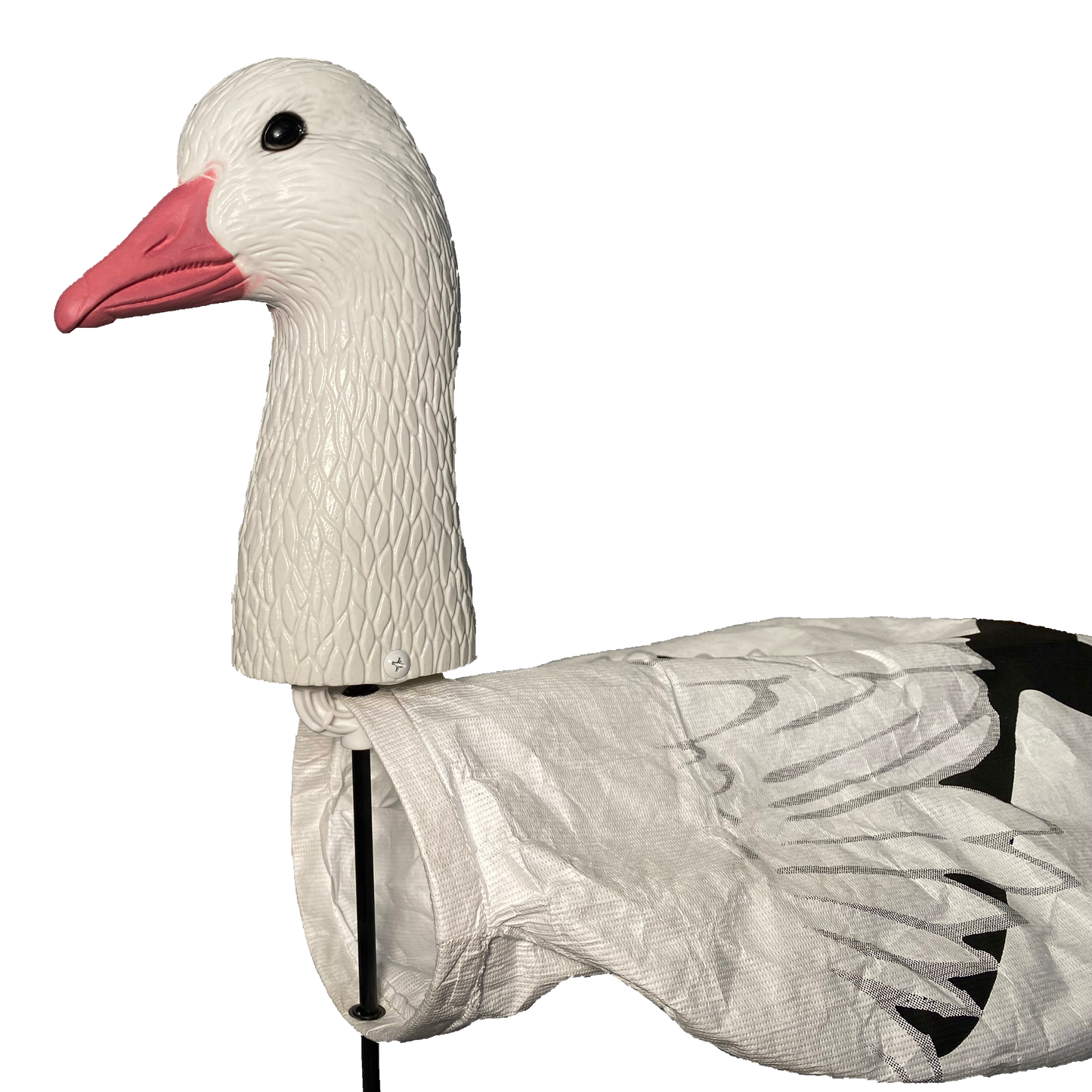 Super Socks Headed Snow Goose - 12 pack