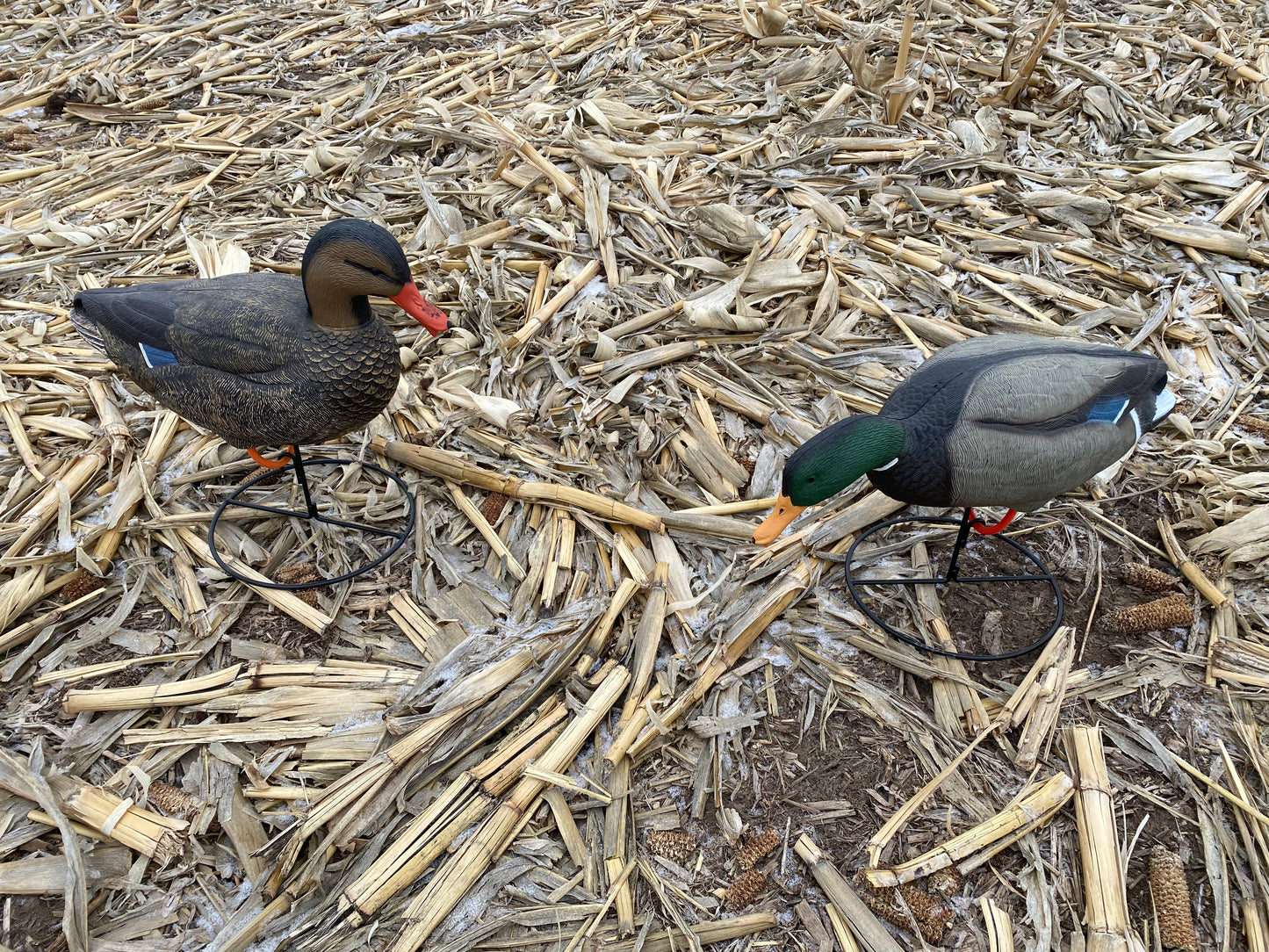 Super Blocks Full Body Mallards - 6 pack