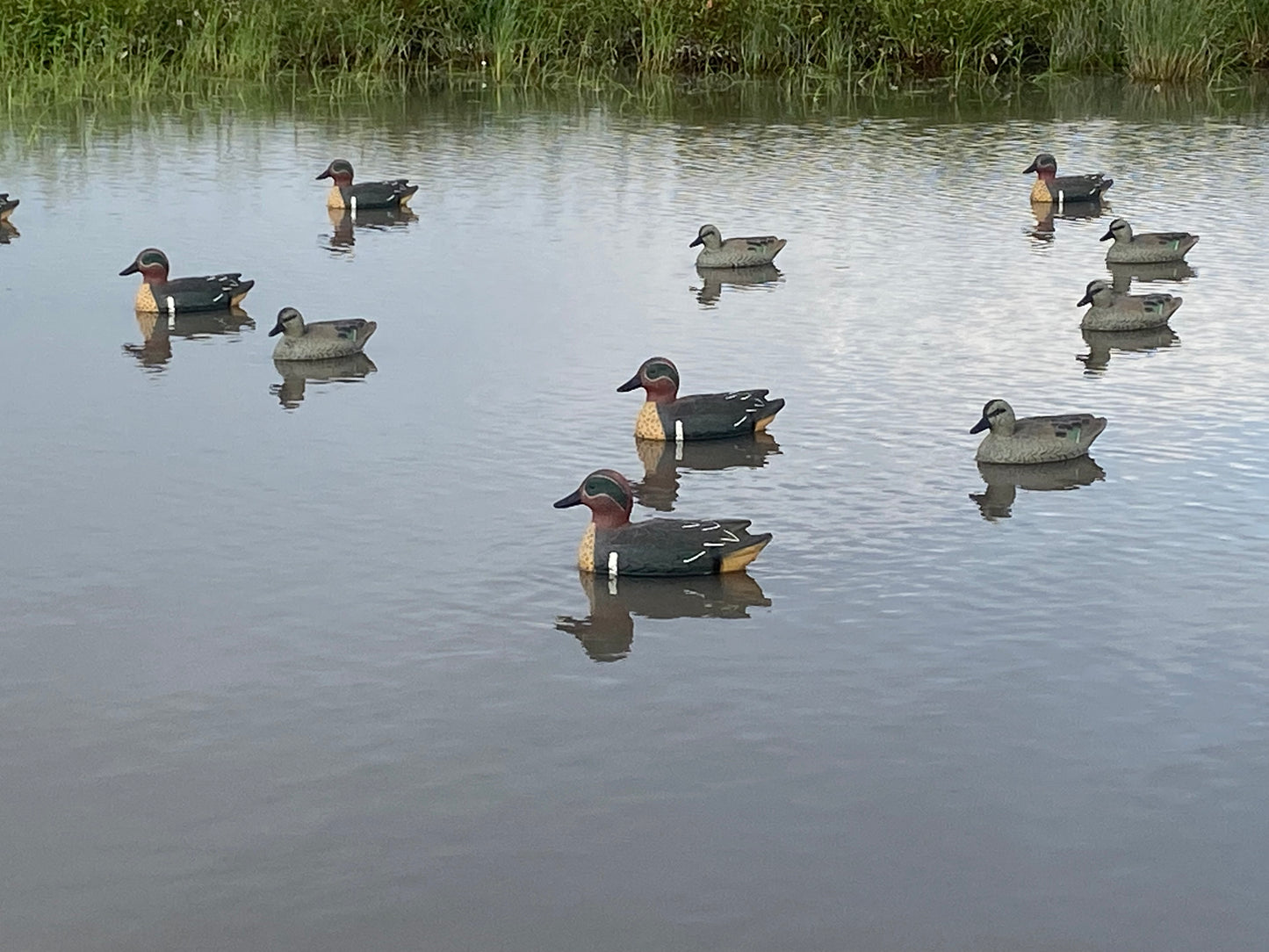 Super Blocks Greenwing Teal Floaters - 12 pack