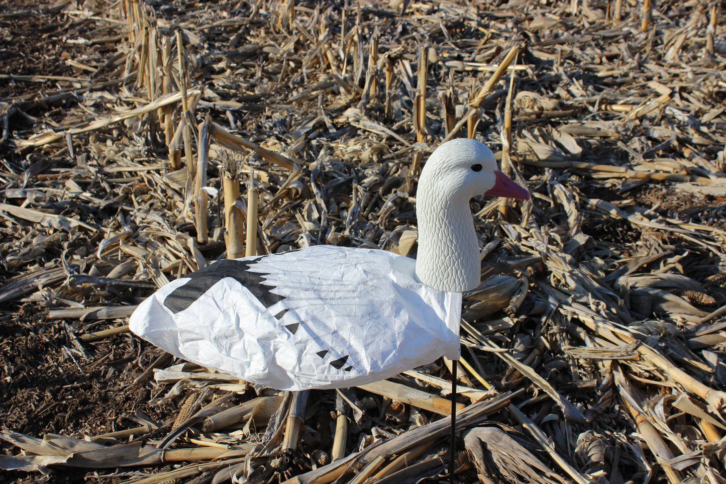 Super Socks Headed Snow Goose - 12 pack