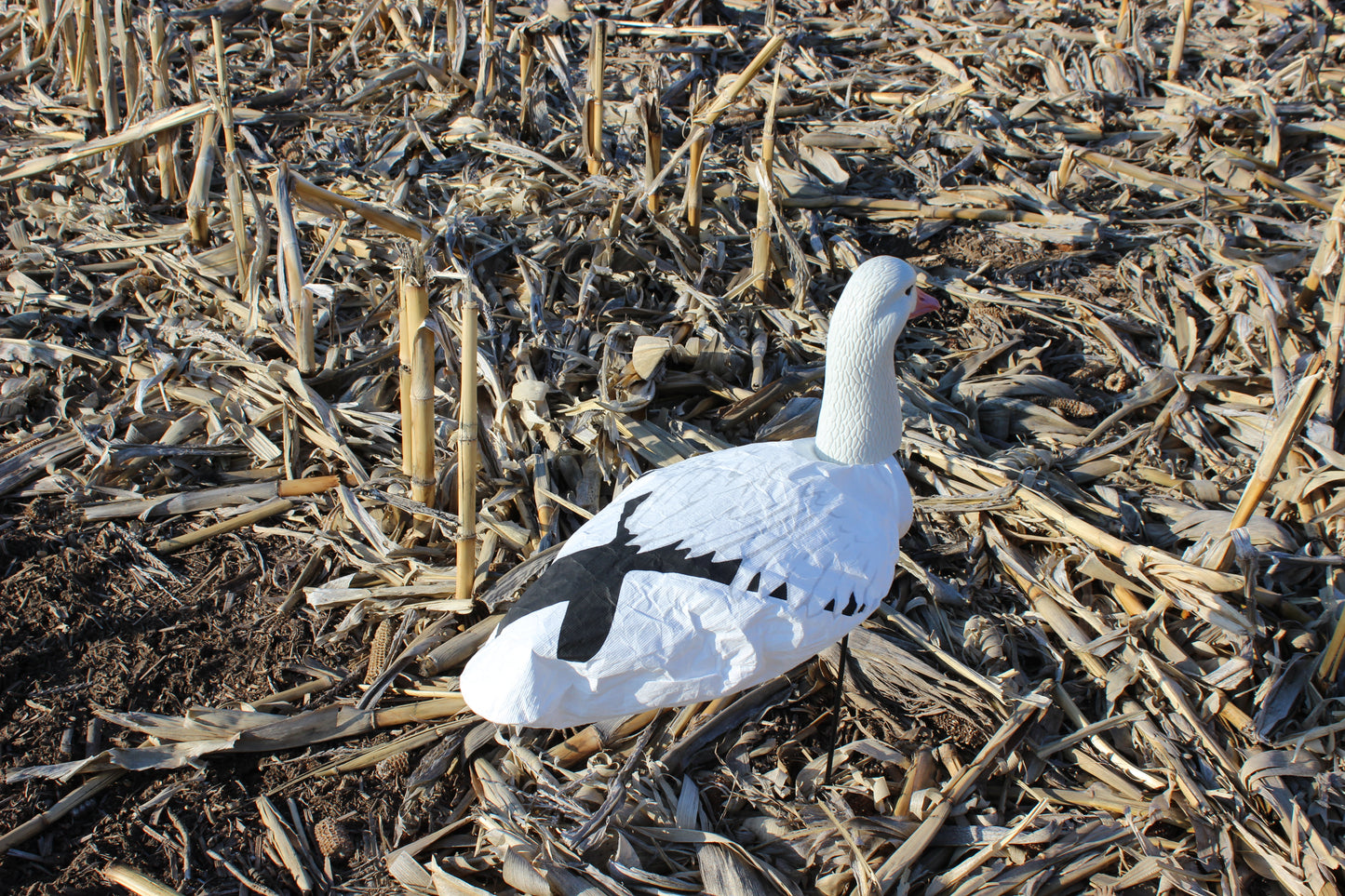 Super Socks Headed Snow Goose - 12 pack
