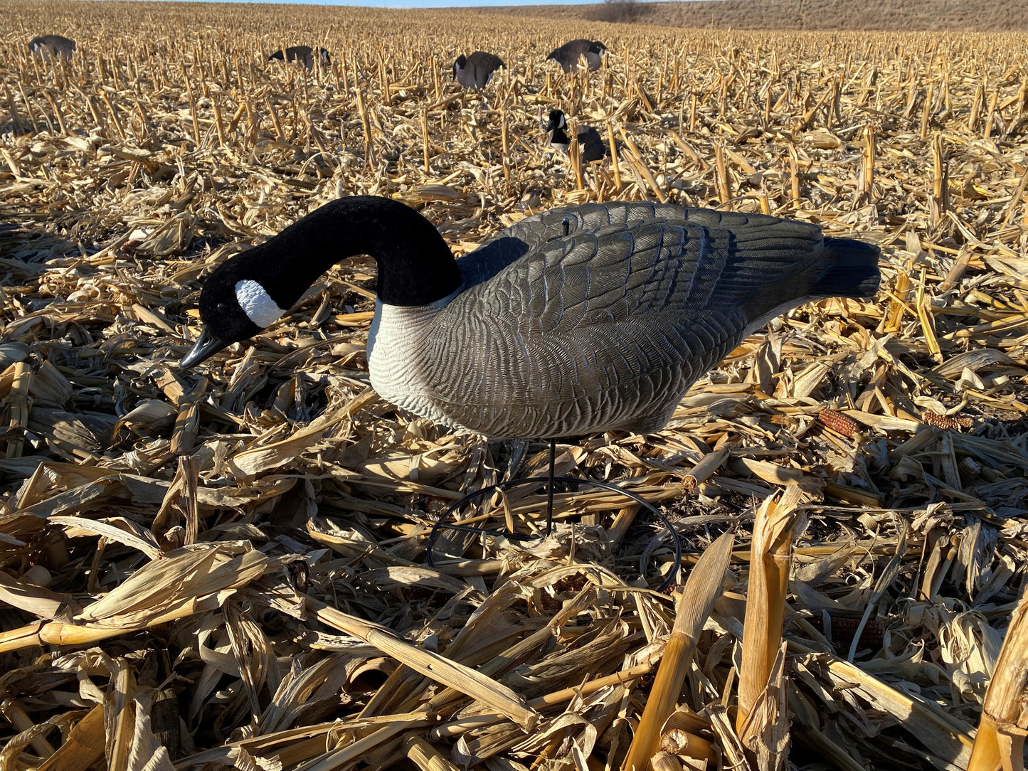 Goose Hunter Field Pack