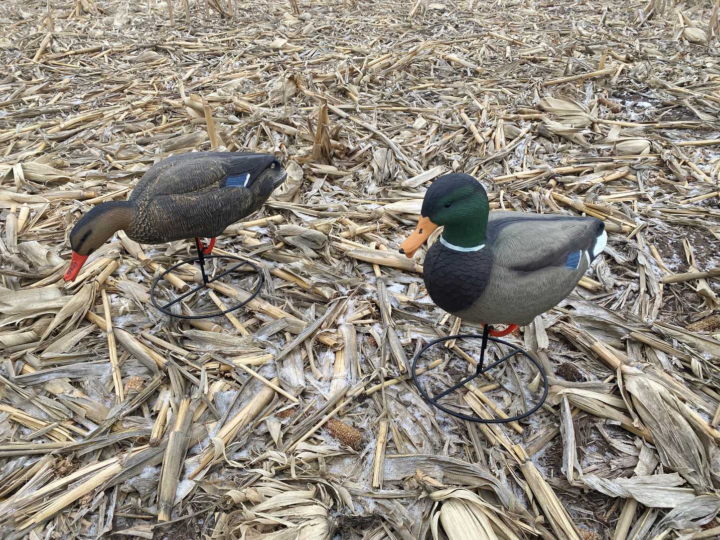 Super Blocks Full Body Mallards - 6 pack