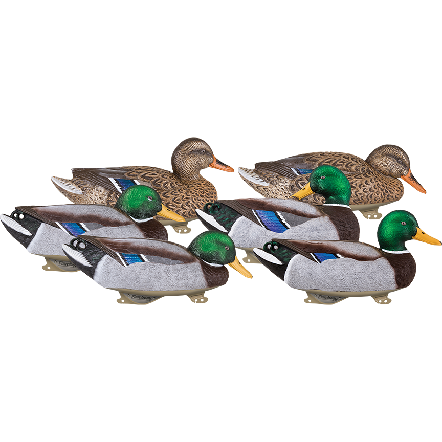 Gunning Series Mallard - 6 Pack