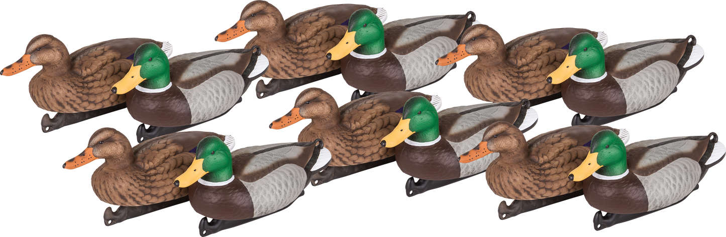 Masters Series Mallard - 12 Pack