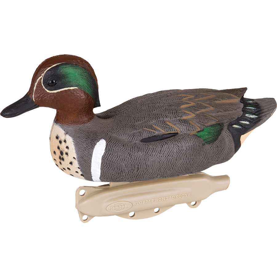 Storm Front 2 Greenwing Teal - 6 Pack
