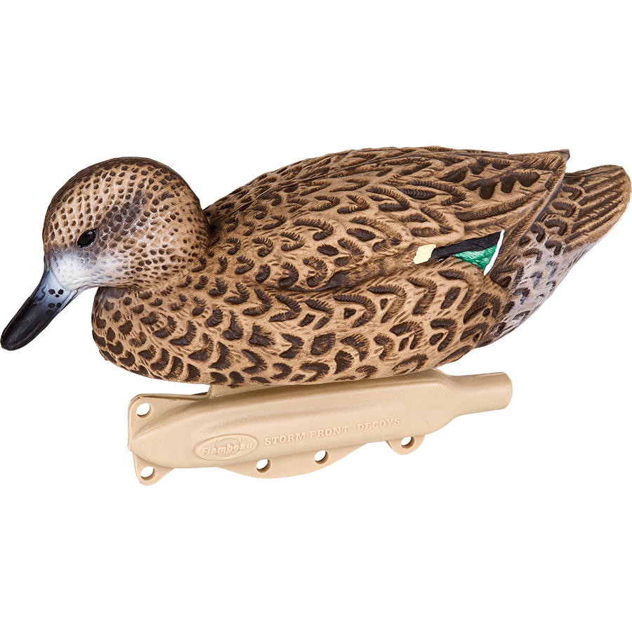 Storm Front 2 Greenwing Teal - 6 Pack