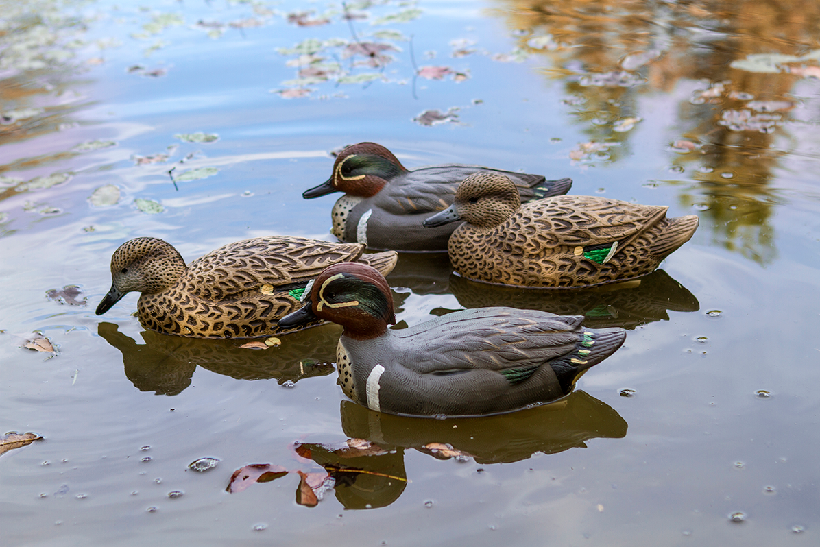 Storm Front 2 Greenwing Teal - 6 Pack
