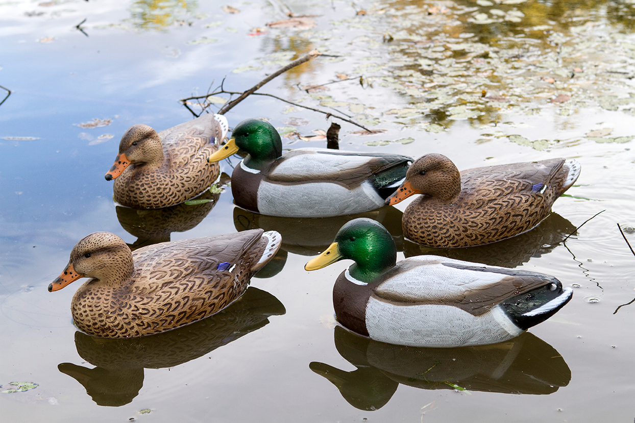 Storm Front 2 Mallard Floater - 6 pack