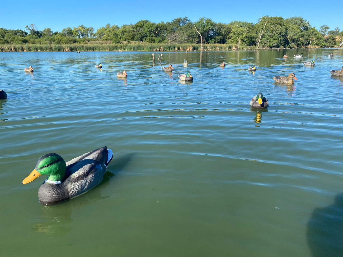 Super Blocks Mallard Floaters - 12 pack