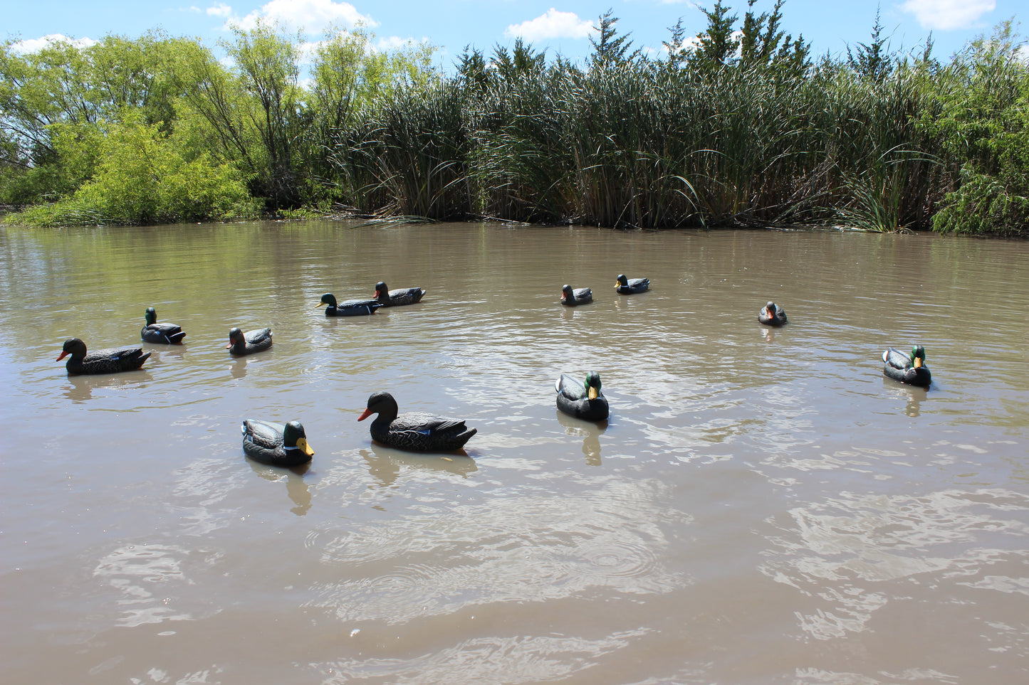 Super Blocks Mallards 12 pack on water