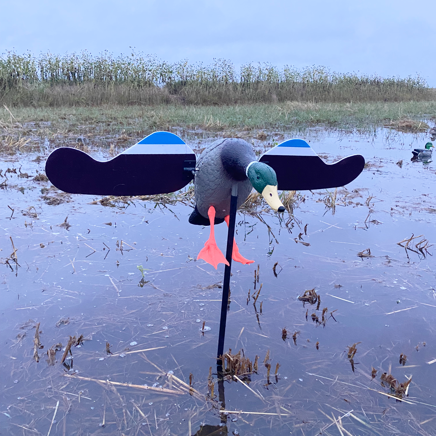 Super Blocks Mallard Spinner