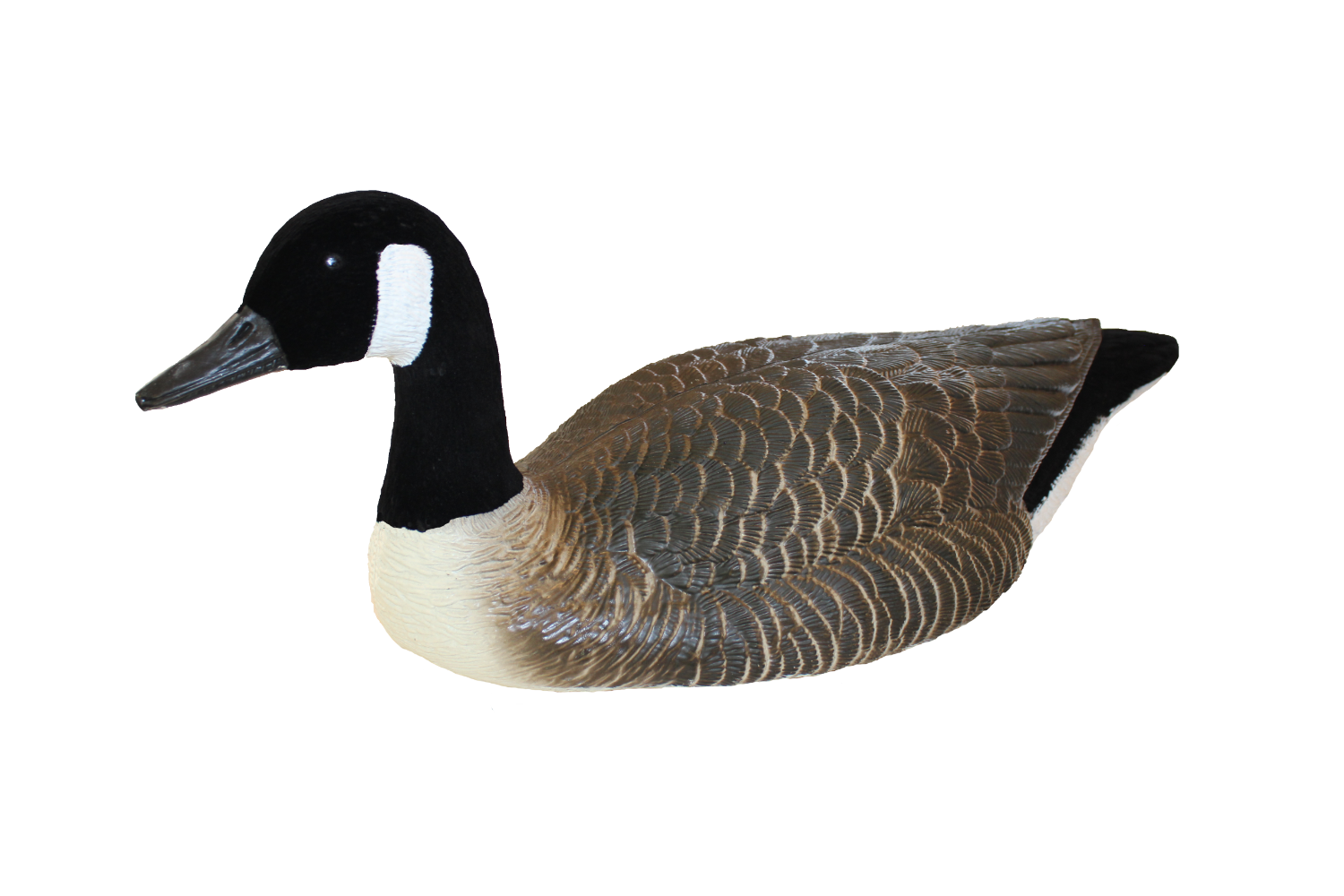 Goose shells top