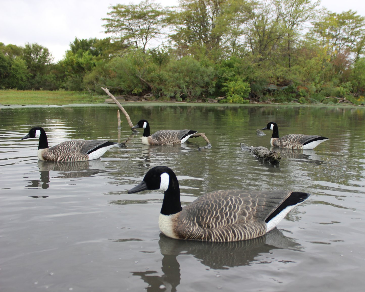 Super Blocks Flocked Canada Goose Floater - 4 Pack