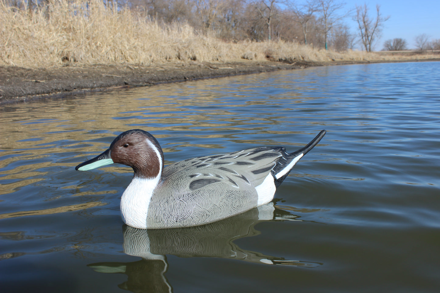 Super Blocks Pintail Drake on water