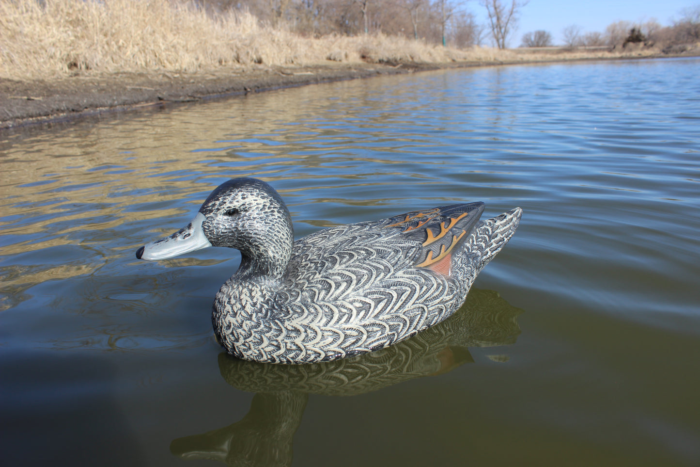 Super Blocks Pintail Hen on water