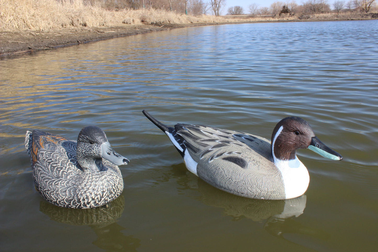 Super Blocks Pintail pair on water