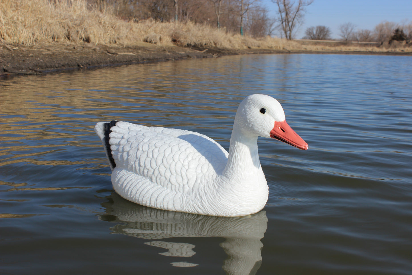 Super Blocks Snow Goose on water