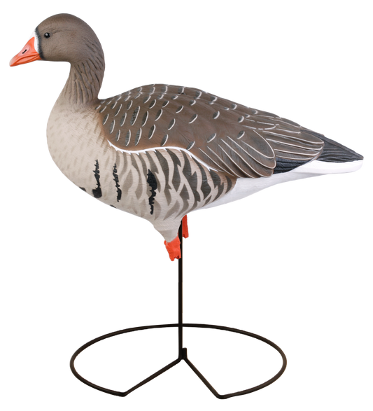 GHG Pro-Grade Full Body Specklebelly Decoys - 6 pack