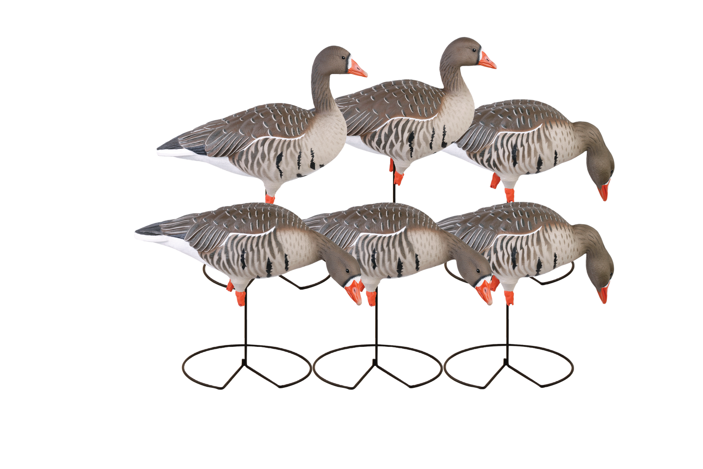 GHG Pro-Grade Full Body Specklebelly Decoys - 6 pack