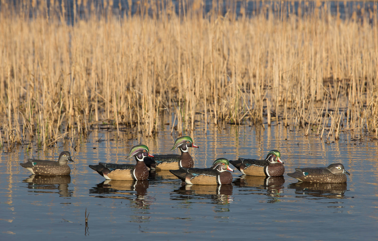 GHG Pro-Grade Wood Duck Floaters - 6 pack