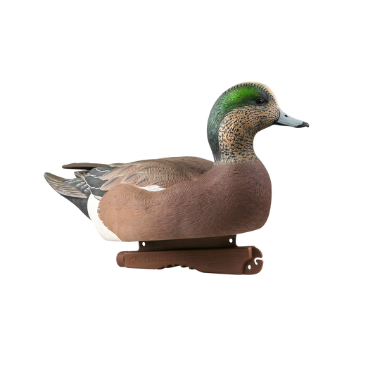 GHG Wigeon Drake