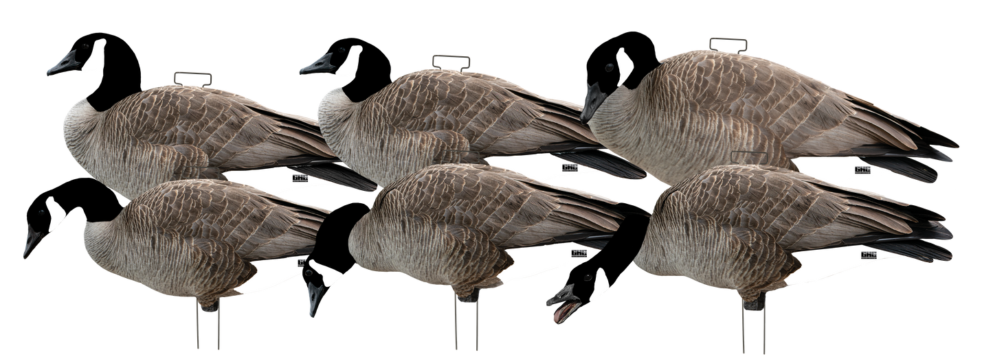 GHG Pro-Grade Flocked Head Canada Goose Silos