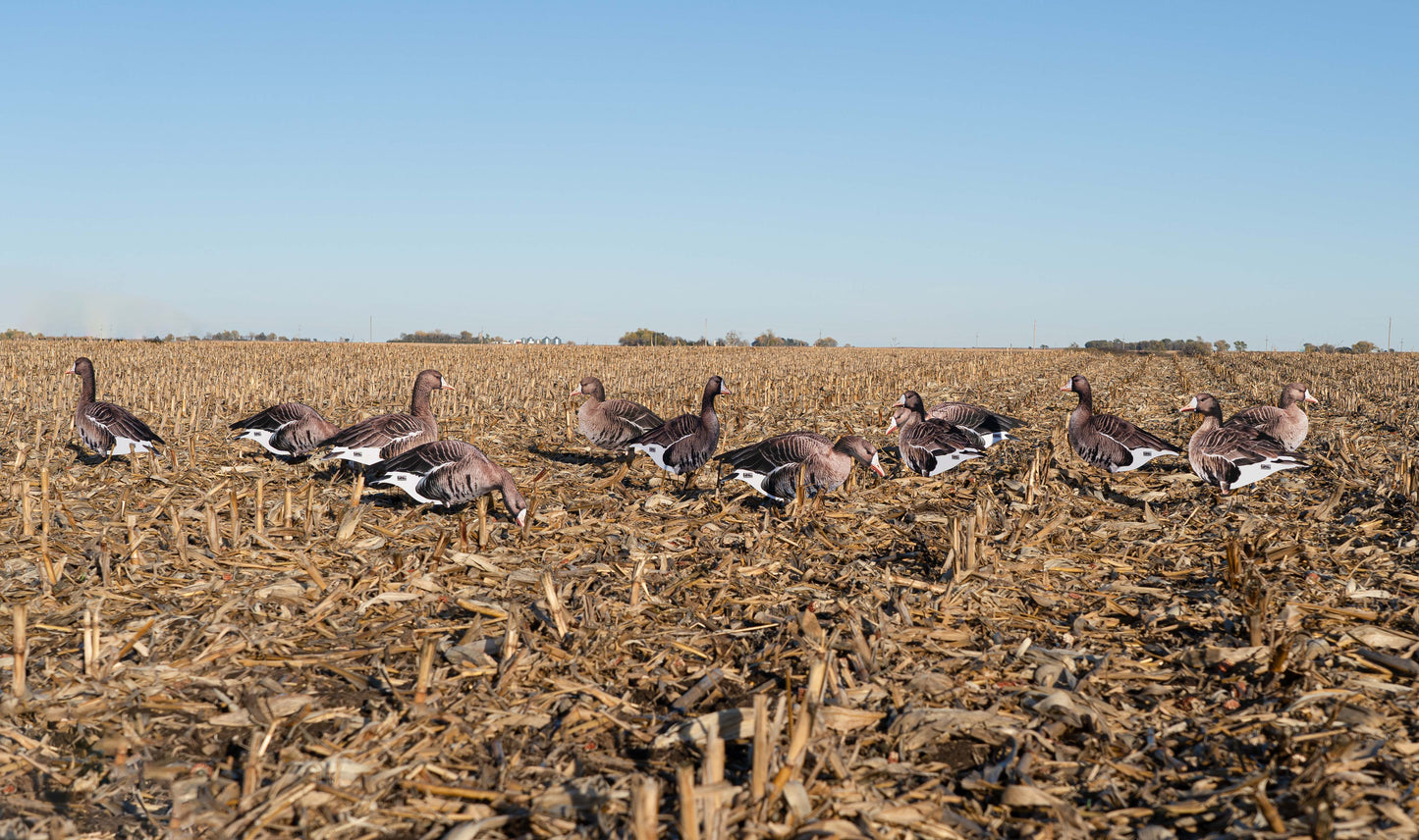 GHG Pro-Grade Speck Silhouette Decoys - 12 pack