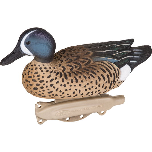 Storm Front 2 Bluewing Teal - 6 Pack