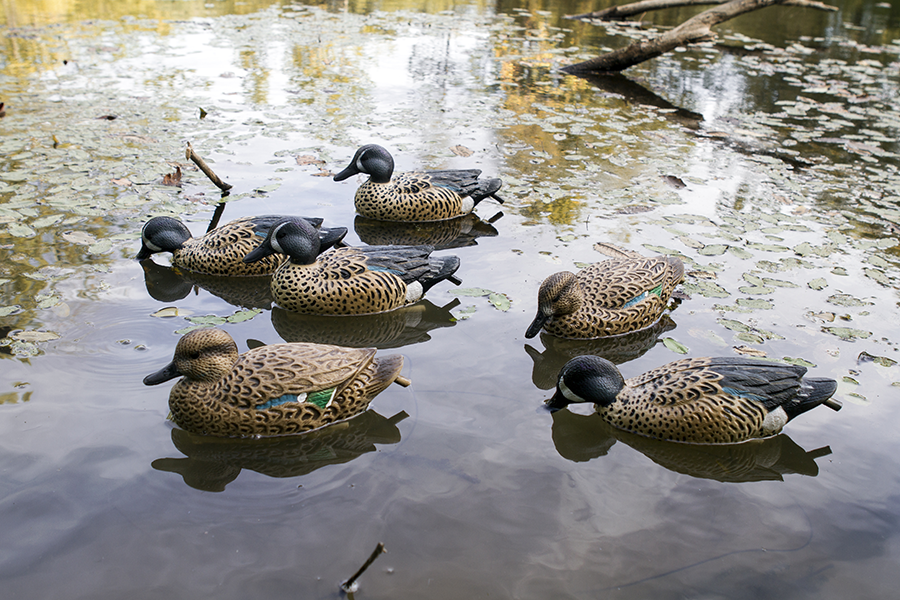 Storm Front 2 Bluewing Teal - 6 Pack