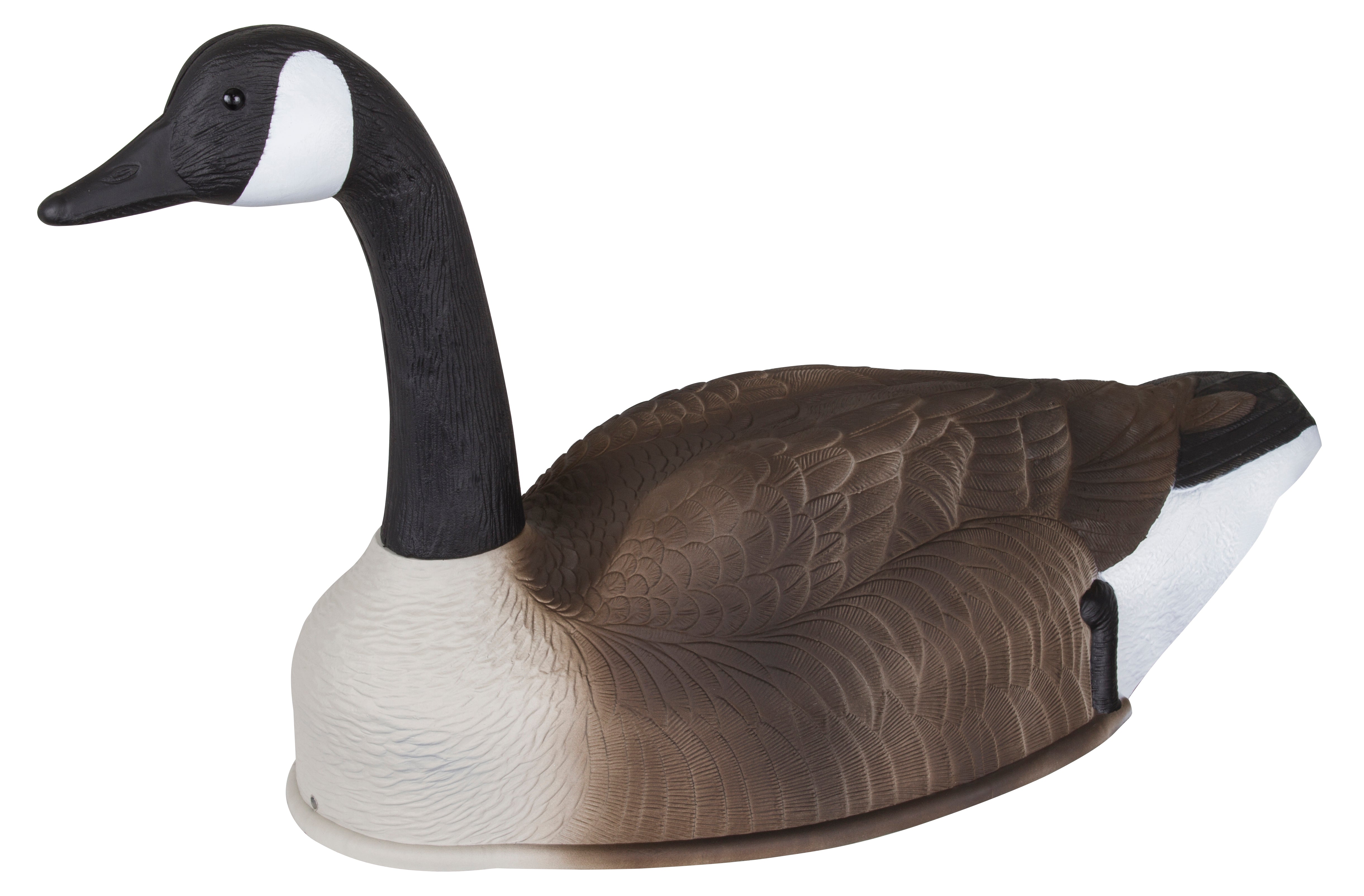 Storm Front 2 Canada Goose Shells 4 pack Decoy Central